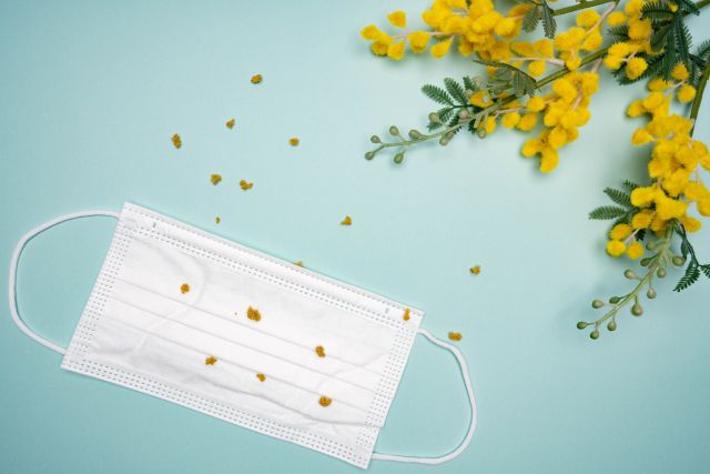 花粉症対策