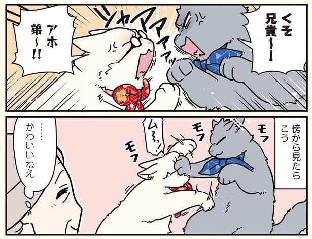 かわいいねえ （C）清水めりぃ／KADOKAWA