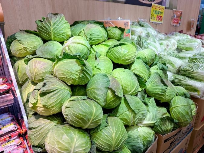 ロピア 長浜店 キャベツ