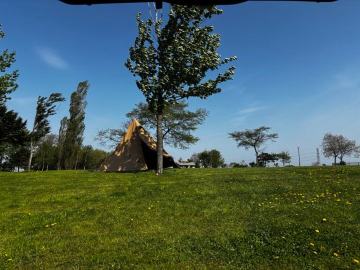 春キャンプは意外と危険？女子ソロが失敗しやすいポイント