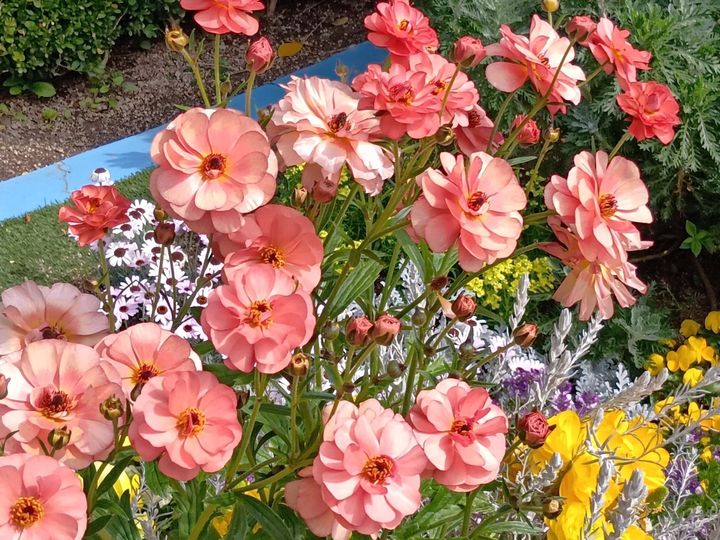 USJで最高すぎたライドに大興奮！さらに…えっ黒ミャク？！穴場のミャクミャク＆花博グッズ