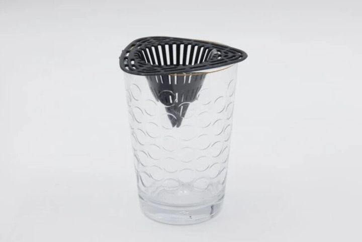 ダイソー 鉢底ネット（7.1cm×7.5cm×4.5cm、6個組） 使用例 水耕栽培