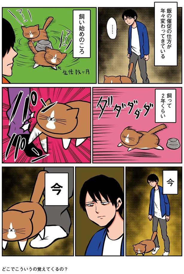 飯の催促の仕方 （C）鴻池剛／KADOKAWA