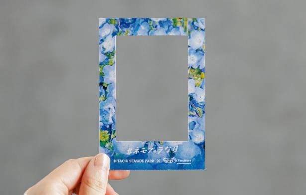 ひたち海浜公園とのコラボフォトフレーム