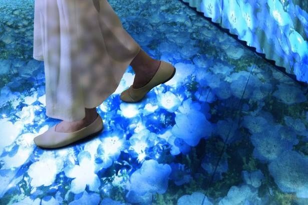 【写真】プロジェクションマッピングでネモフィラ鑑賞。特定のエリアに近づくと動きに反応して花が揺れる