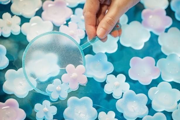 ネモフィラのキャンドルすくい体験イメージ