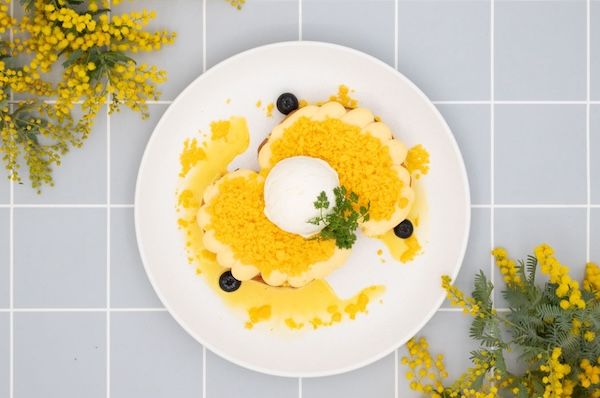 【神奈川県横浜市・藤沢市】旅するフレンチトースト第2弾！Toasty’sが、春限定「ミモザフレンチトースト」を発売