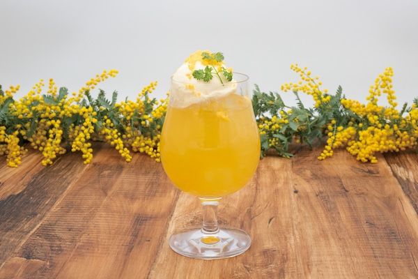 【神奈川県横浜市・藤沢市】旅するフレンチトースト第2弾！Toasty’sが、春限定「ミモザフレンチトースト」を発売