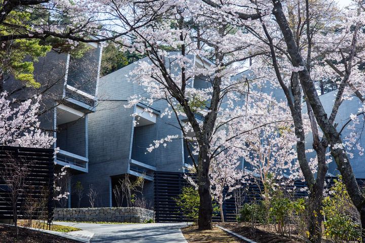 桜も楽しめる春の星のや富士