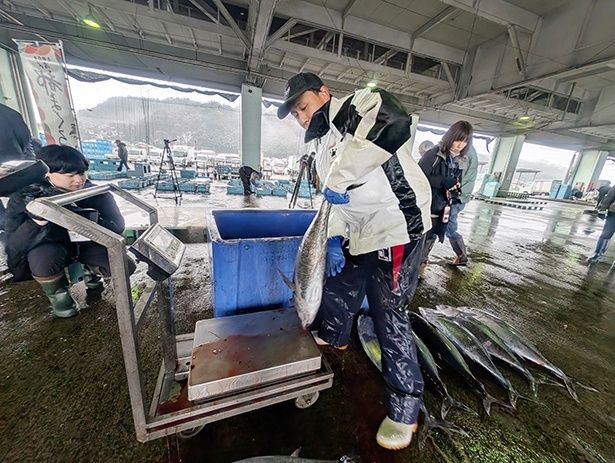 クロマグロの漁獲は資源管理のため、国際的な合意に基づいて設定・管理されているマグロのTAC(漁獲可能量)に基づき、漁をしている