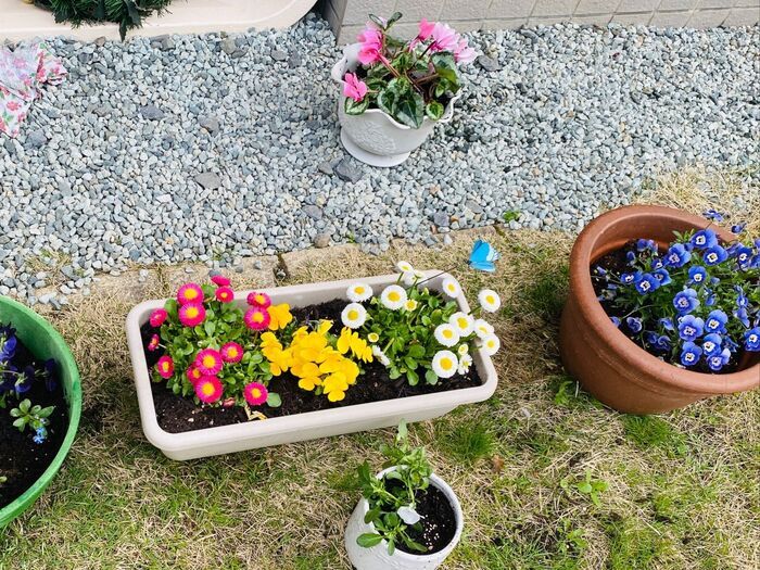 お菓子に入っている〈乾燥剤〉捨てないで！お役立ちアイデアを大発見♪