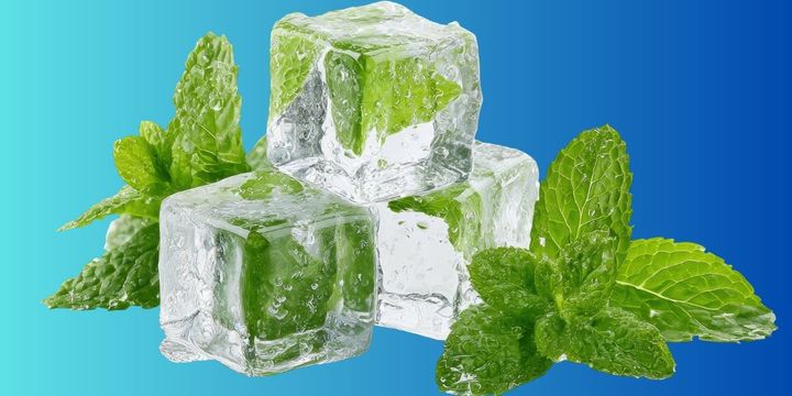 ミントが冷たく感じる本当の理由を解明