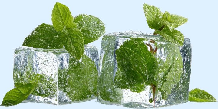 ミントが冷たく感じる本当の理由を解明