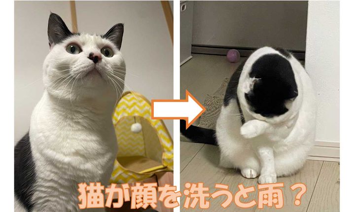 天気が読めたら雨知らず⁉︎気象予報士ライダーコラム「天気のことわざ３選」