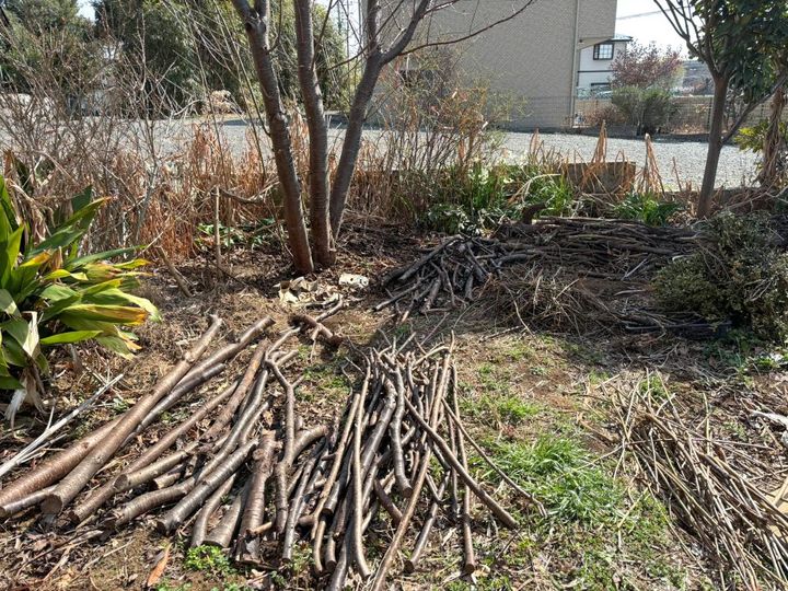 ベンジェス・ヘッジ