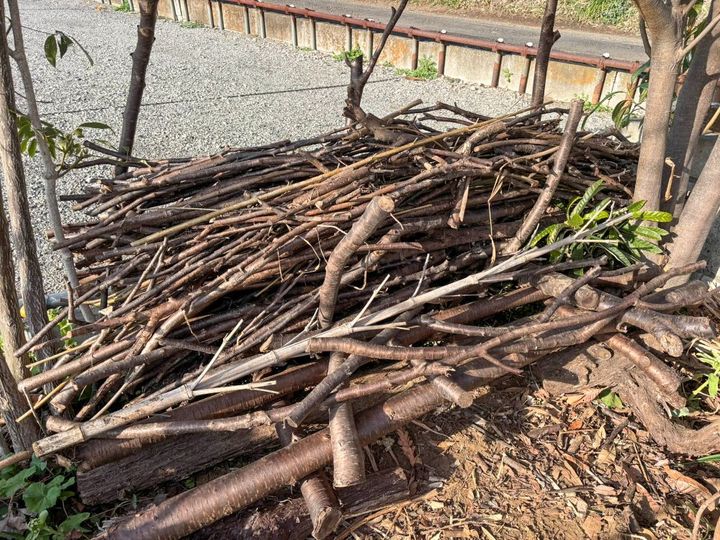 ベンジェス・ヘッジ