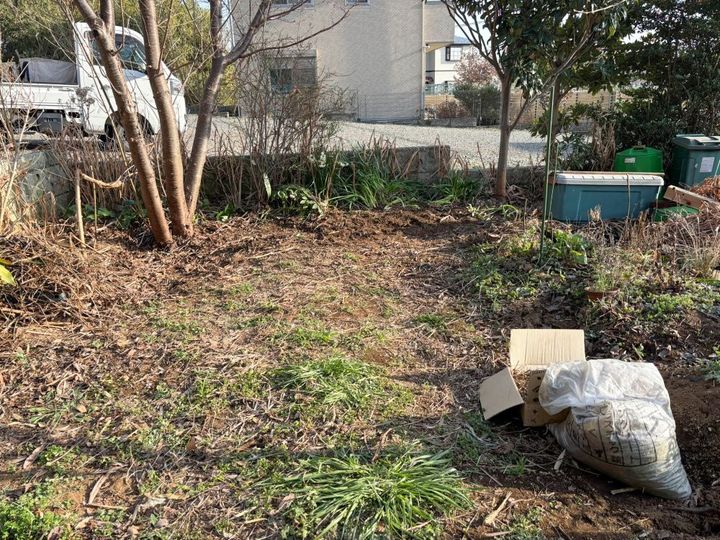 ベンジェス・ヘッジ