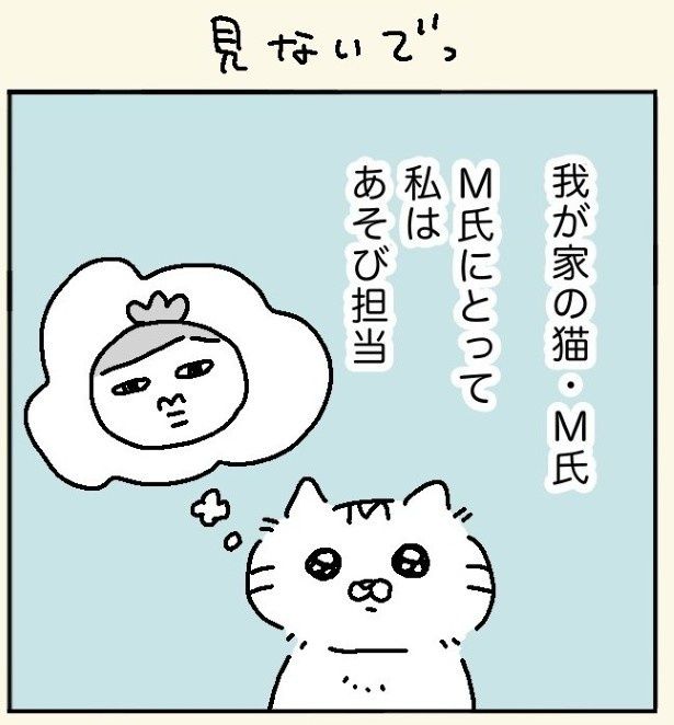 かわいい癒やしの存在 maxぽんぽん丸(@o0TM8mta5D4jom)