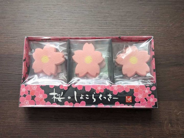 カルディコーヒーファーム 桜のしょこらくっきー