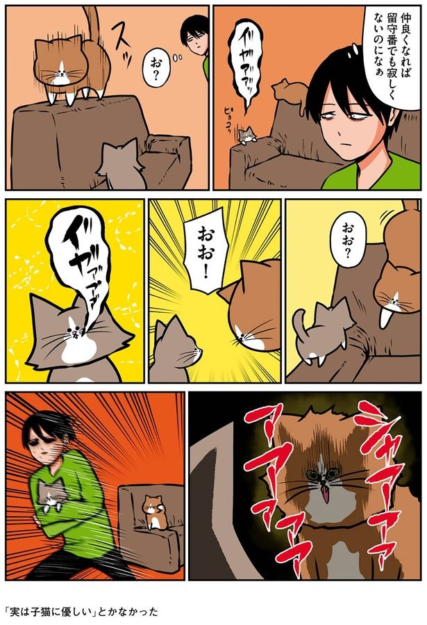 おお？ （C）鴻池剛／KADOKAWA