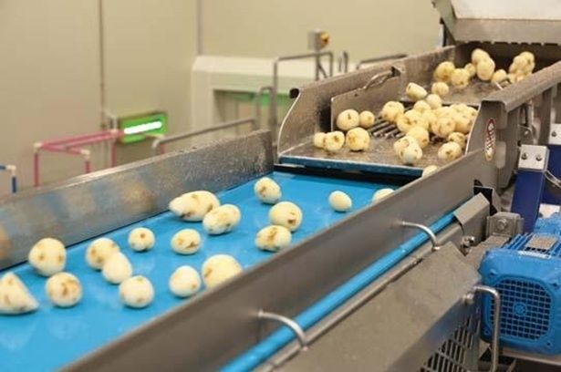 手作業が必要なものは、センサーでチェックされる 撮影＝EDWARD.K