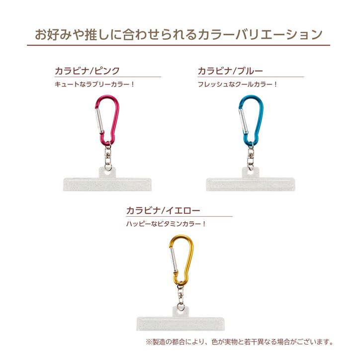 専用ケースのカラビナ