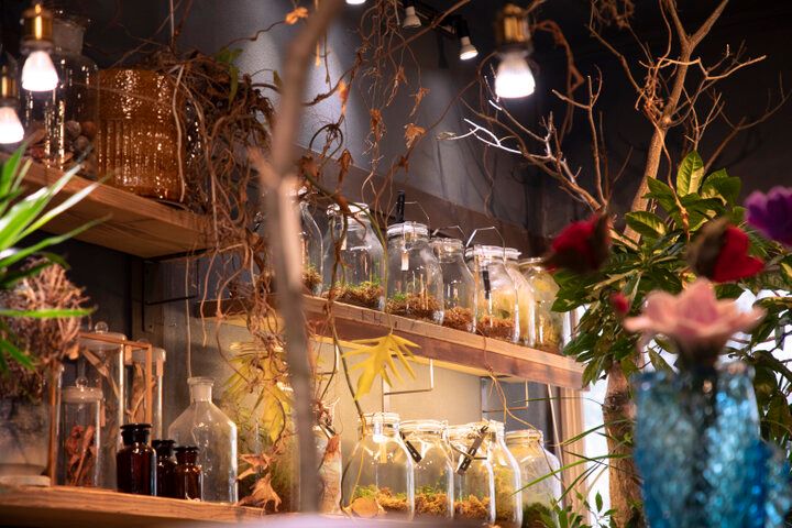 癒やしの森・清澄白河「LUFF」で見つける、ボタニカルギフト～水もいらない放置植物って？