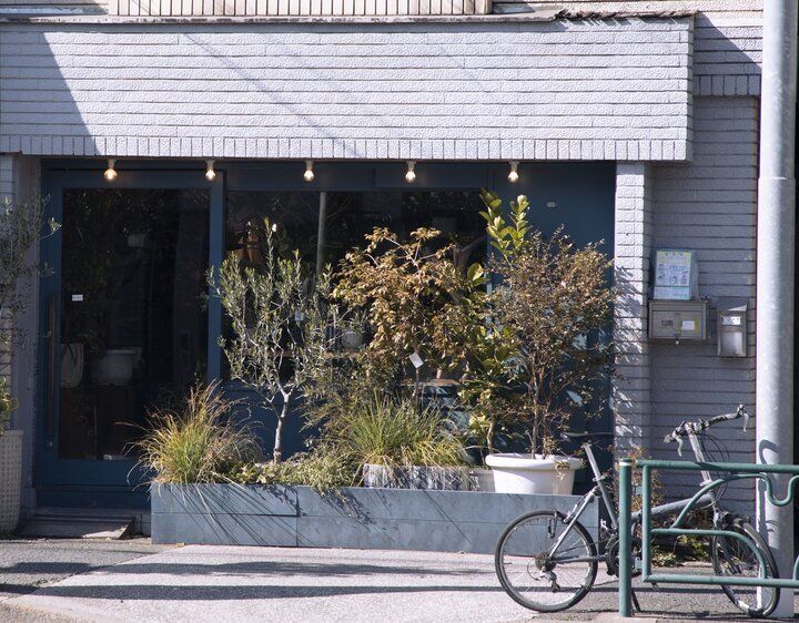 癒やしの森・清澄白河「LUFF」で見つける、ボタニカルギフト～水もいらない放置植物って？