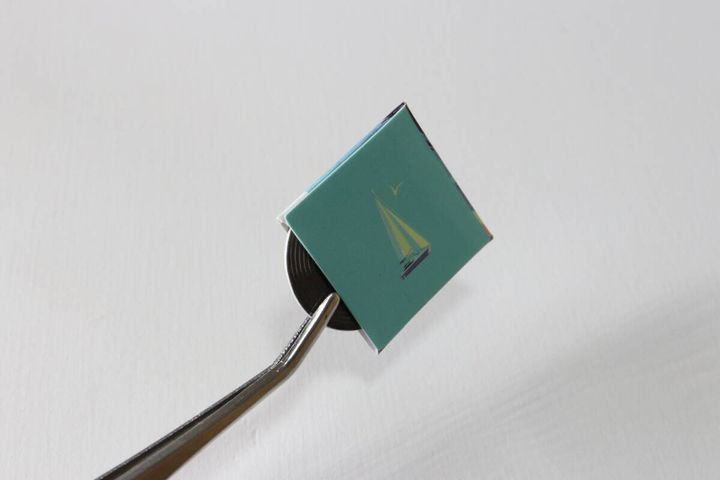 ドール レコード 2P 裏面