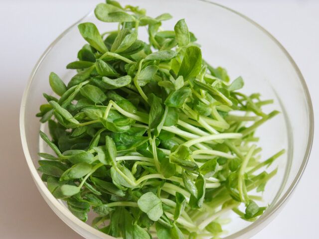 豆苗は半分に切る