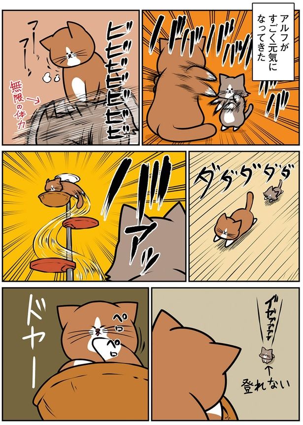 登れない （C）鴻池剛／KADOKAWA