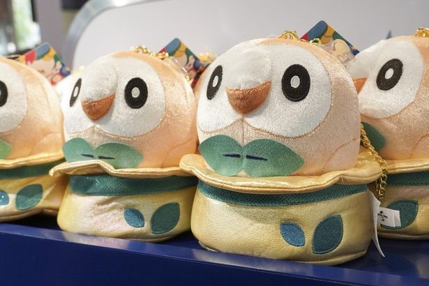 ぷっくりしたくちばしがキュートなモクロー