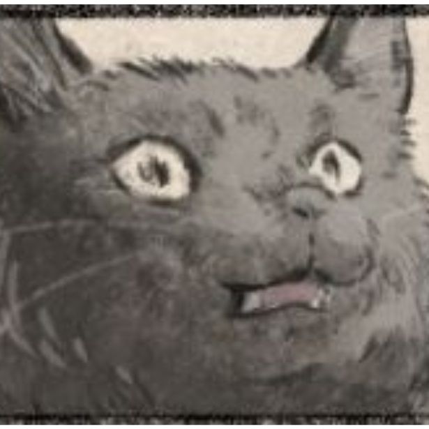 これだから人間は！ 画像提供：キジネコ様(@Motidukineko)