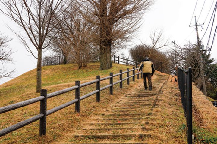 【聖地巡礼】ジブリ『平成狸合戦ぽんぽこ』ラストの夜景へ｜ゆうひの丘と桜ヶ丘の激坂を駆ける