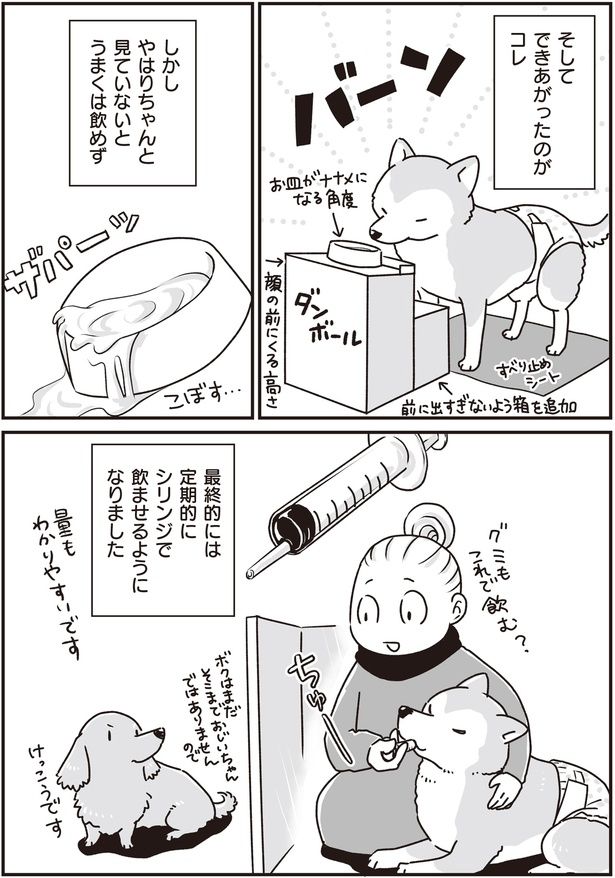 できあがったのがコレ (C)真希 ナルセ／KADOKAWA