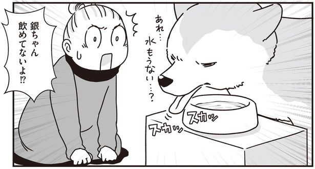 飲めてないよ！？ (C)真希 ナルセ／KADOKAWA