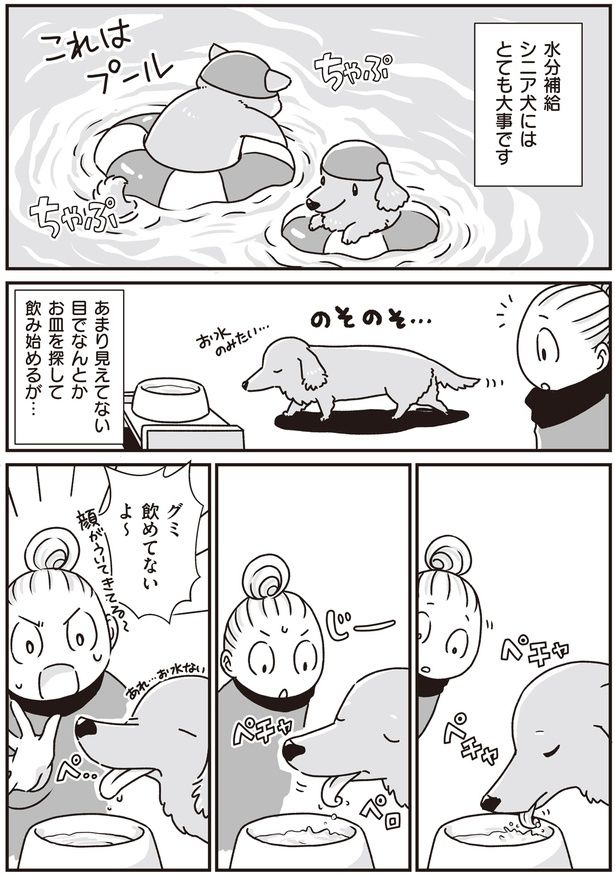 シニア犬にはとても大事 (C)真希 ナルセ／KADOKAWA