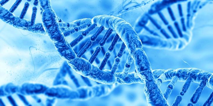 現状を維持するための「進化」も起きていた