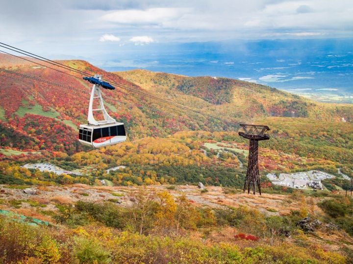 All About ニュース編集部では、全国の10～60代の男女250人を対象に、「道の駅」に関するアンケートを実施しました。この記事では、「好き＆行ってみたい栃木県の道の駅」ランキングの結果を紹介します。（サムネイル画像出典：道の駅日光 公式Webサイト）