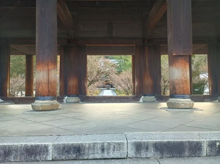 インド先生3月ブログ①