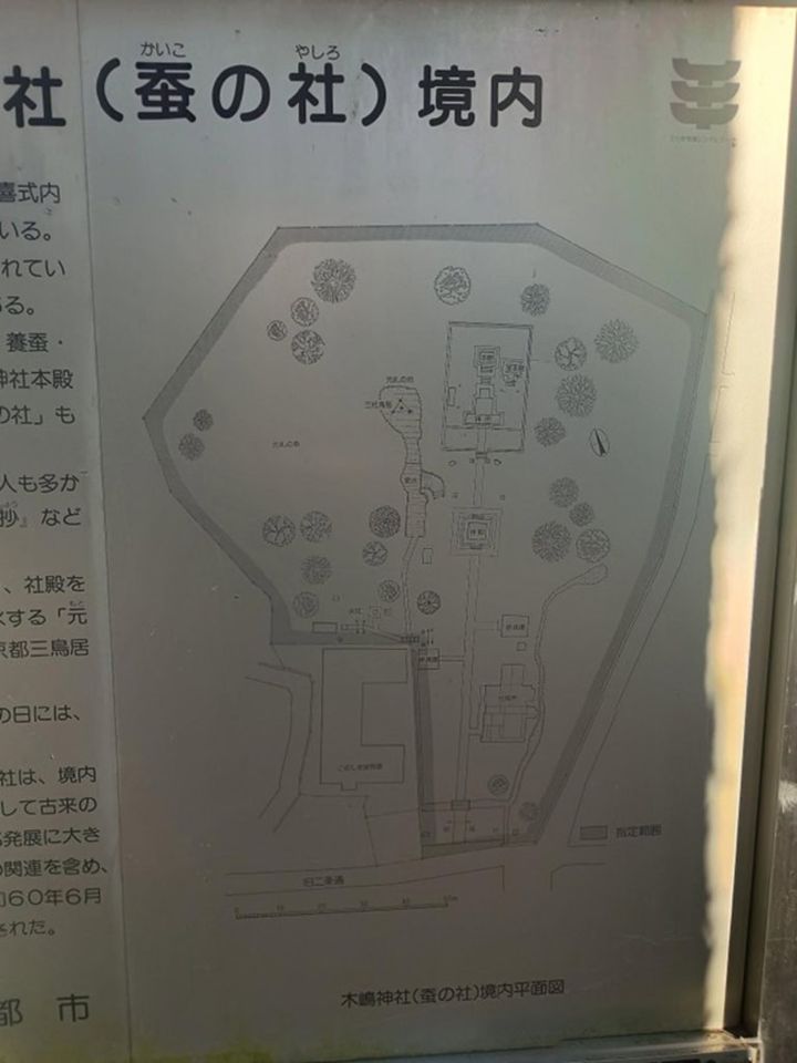 インド先生3月ブログ⑬