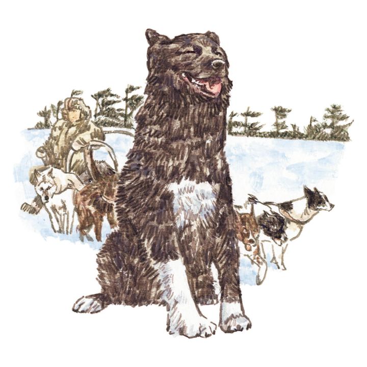 うえむらのぶこ イラスト