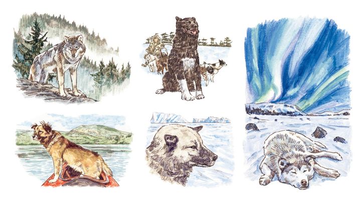 うえむらのぶこ イラスト