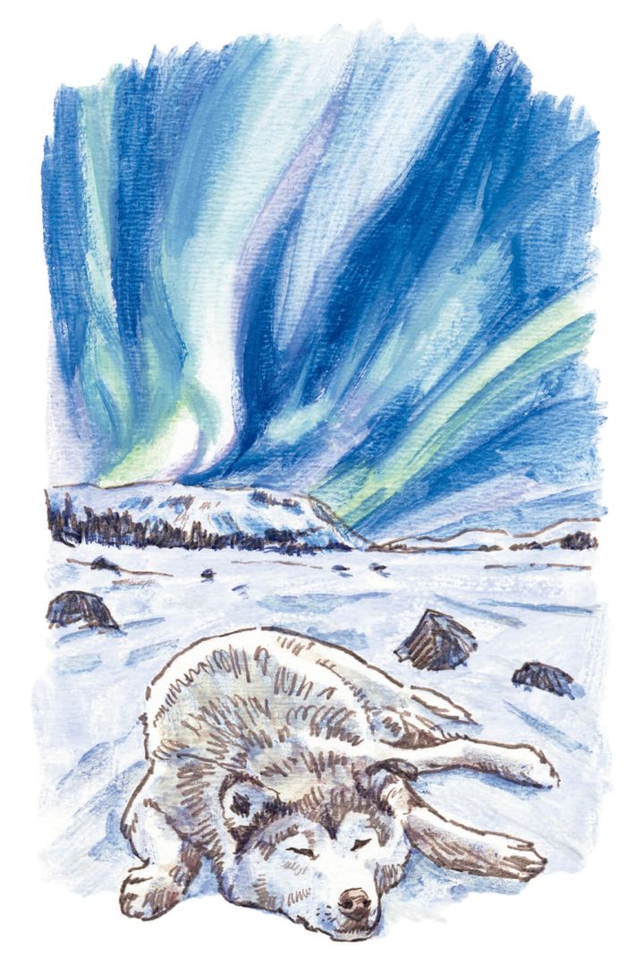 うえむらのぶこ イラスト