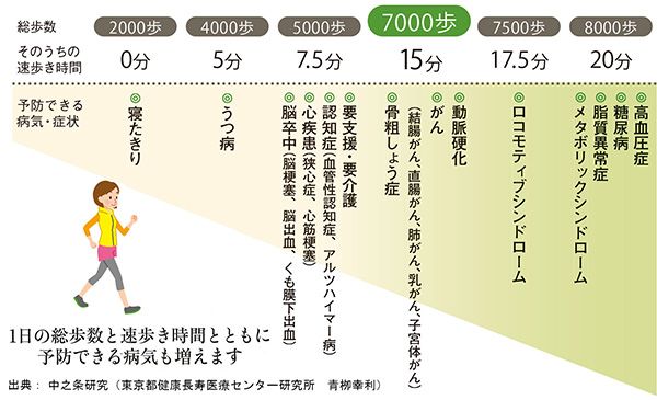 出典：中之条研究（東京都健康長寿医療センター研究所 青栁幸利）