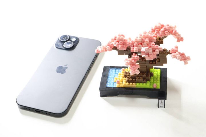 プチブロックDX（しだれ桜） サイズ感