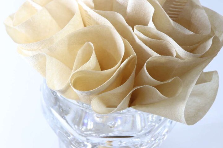 コーヒーフィルターで作った簡易加湿器が水を吸う様子