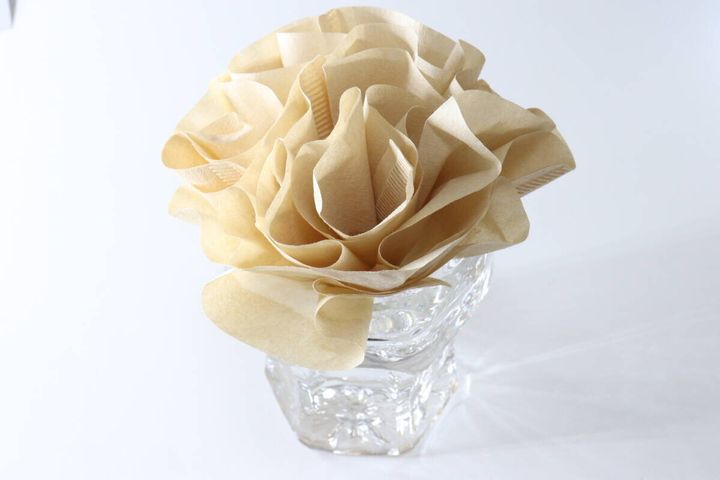 コーヒーフィルターで作る簡易加湿器のDIY