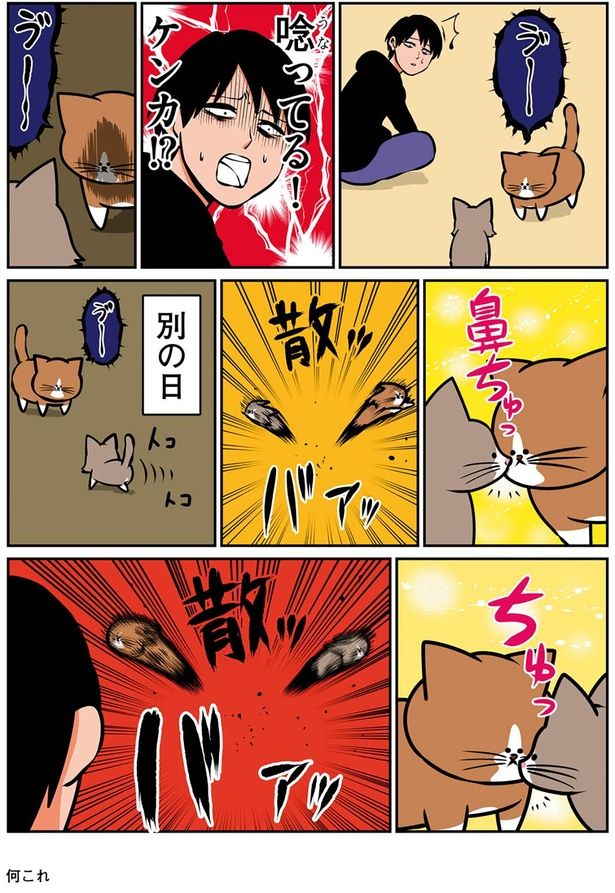 唸ってる！ケンカ！？ （C）鴻池剛／KADOKAWA