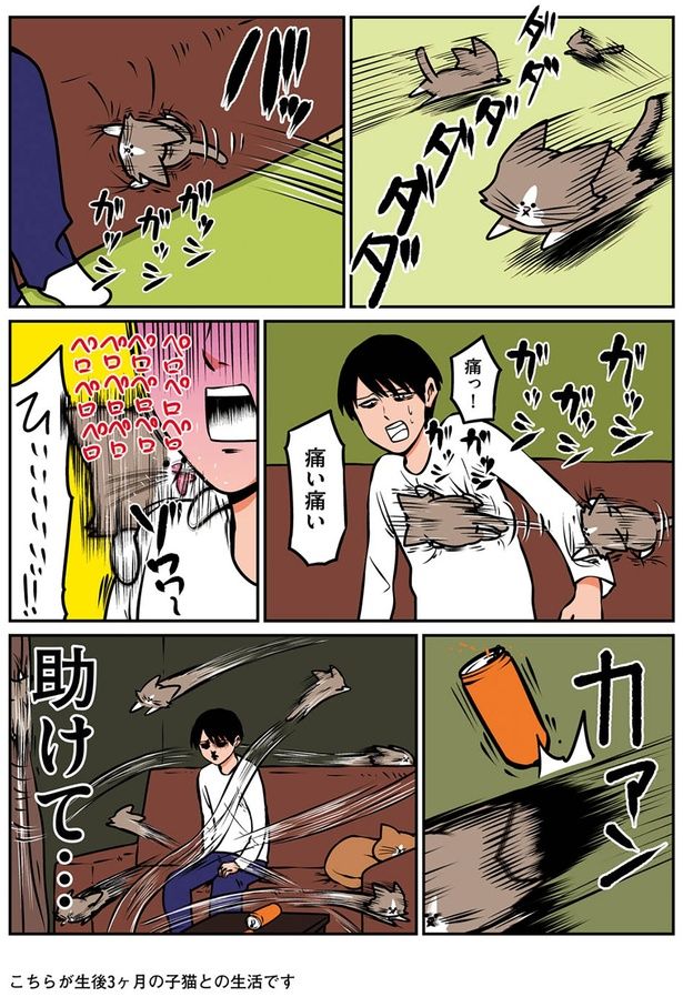 助けて… （C）鴻池剛／KADOKAWA